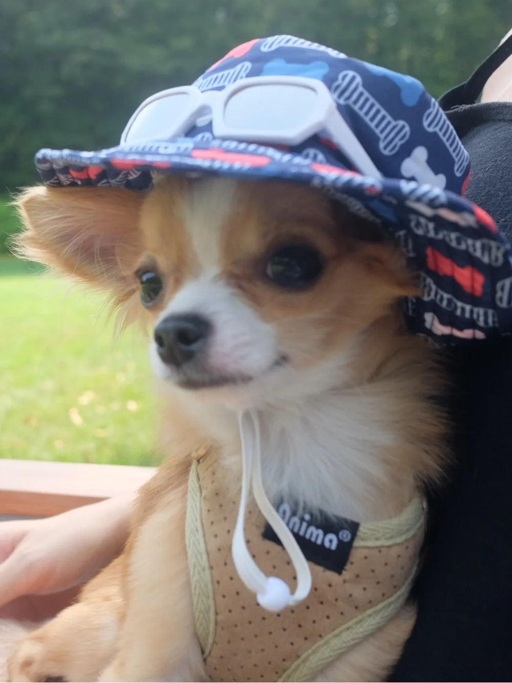 Dog Bone Pattern Sun Hat with Sunglasses - Navy Blue